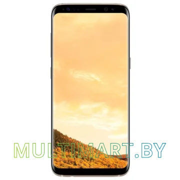 Смартфон Samsung Galaxy S8+ Dual SIM 64GB (желтый топаз)